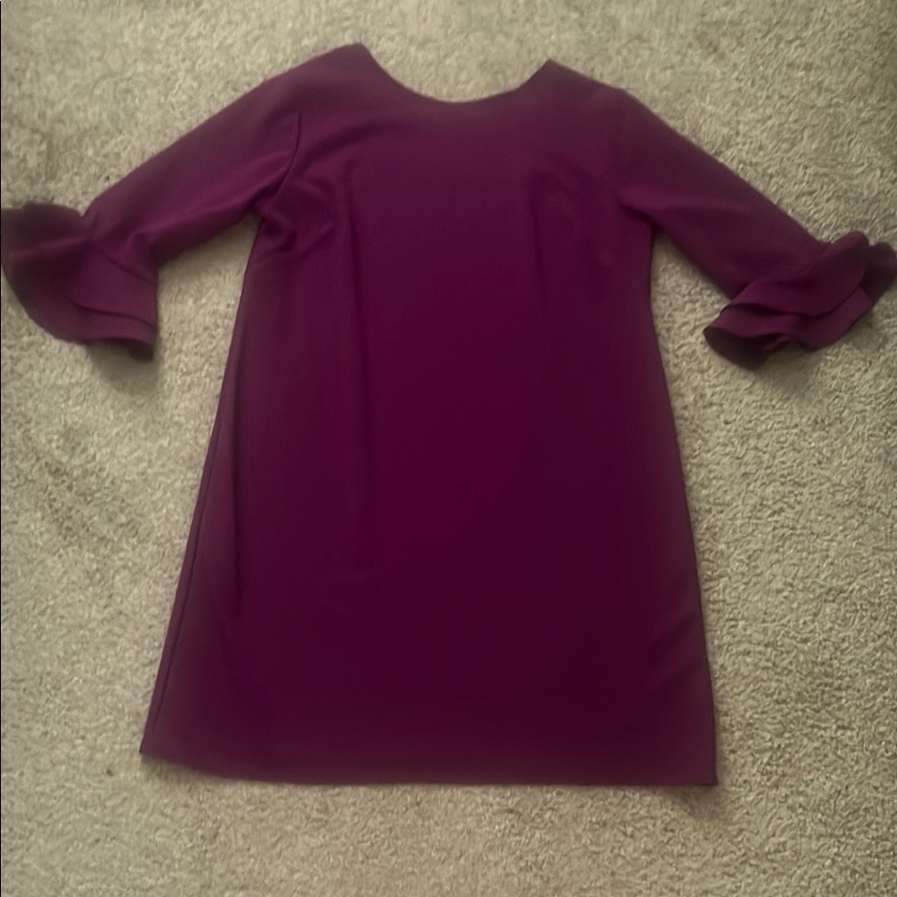 Magenta Ruffle Sleeve Dress